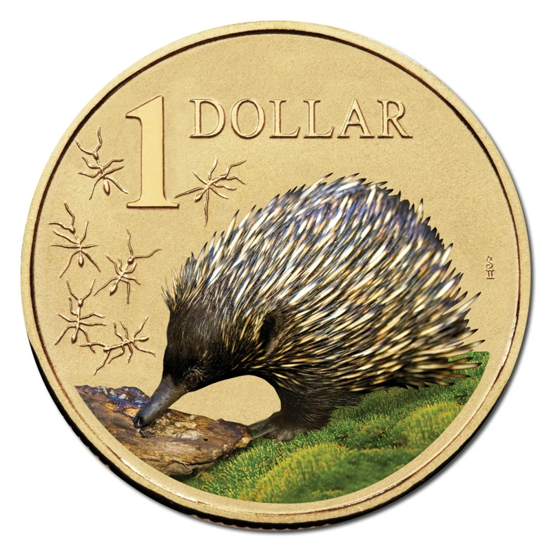 $1 2008 Land Series - Echidna Al/Bronze UNC - Image 2