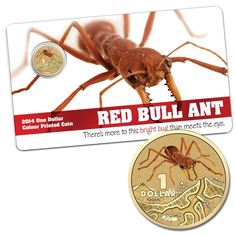 $1 2014 Bright Bugs - Al-Bronze UNC Set of 6 - Image 4