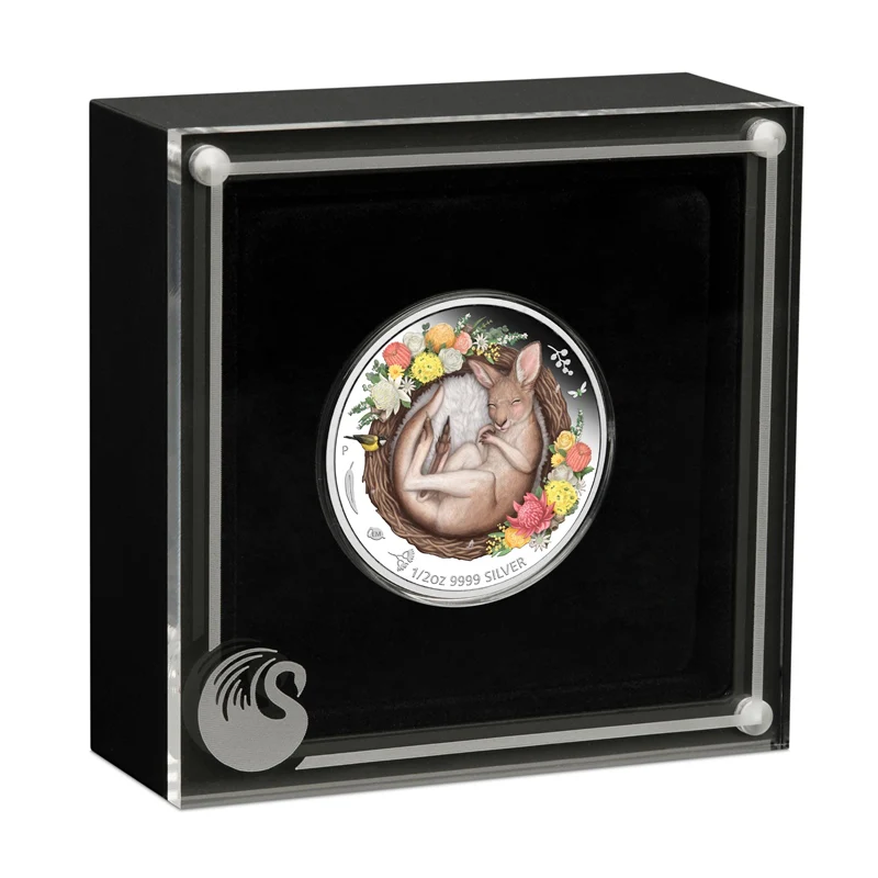 2021 Dreaming Down Under - Kangaroo 1/2oz Silver Proof - Image 4