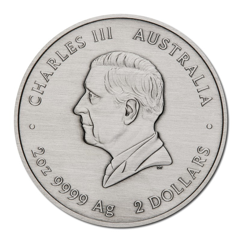 2025 Emu Utingat 2oz Silver Antiqued Coloured Coin - Image 4