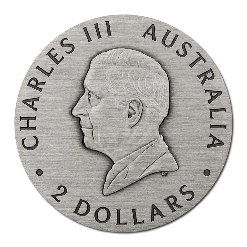 2025 Honey Bee 2oz Silver Antiqued Coloured Coin - Image 3