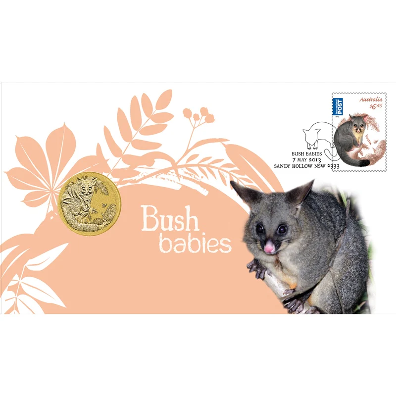 PNC 2013 Bush Babies - Possum