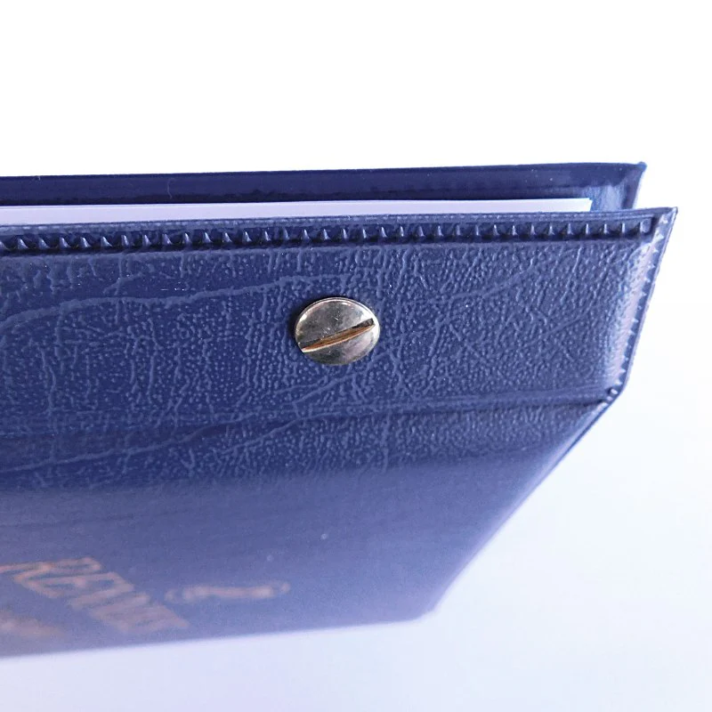 Renniks Coin Album - Image 4
